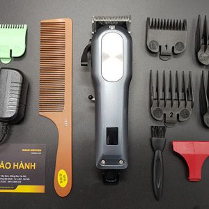 tong do shinon 1888 ms217 (6)